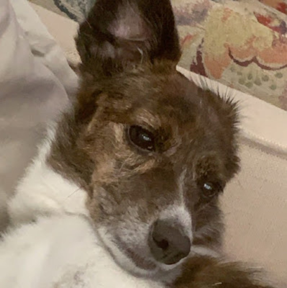 Meet your Posher, Nick